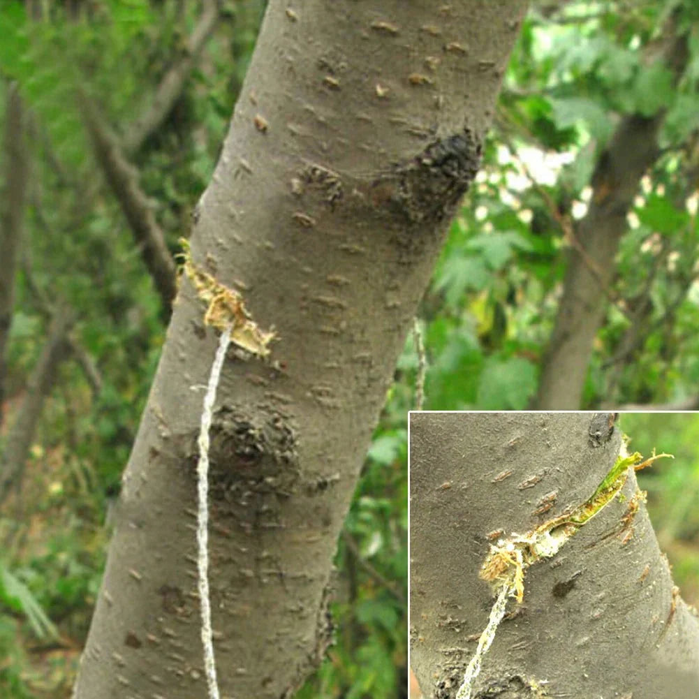 Handy Stainless Wire Survival Saw